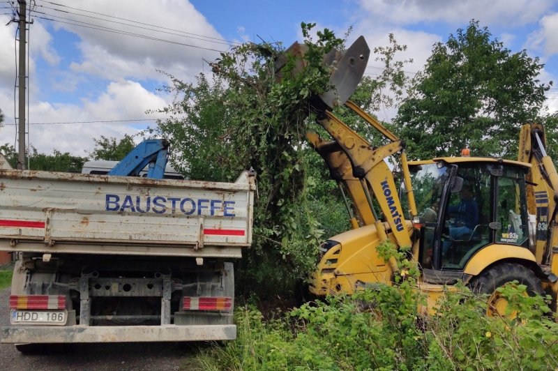 Aplinkos tvarkymo darbai žolės krovimas