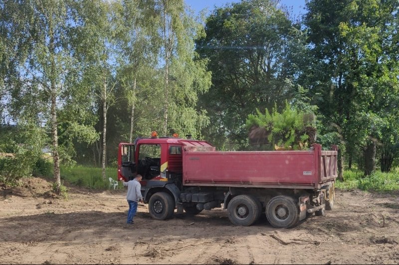 raudonas savivartis nuomai smėlis miškas